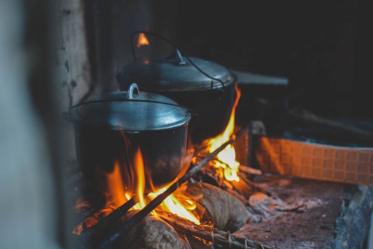 Campfire Cooking: Recipes and Techniques for Delicious Meals While RV Camping